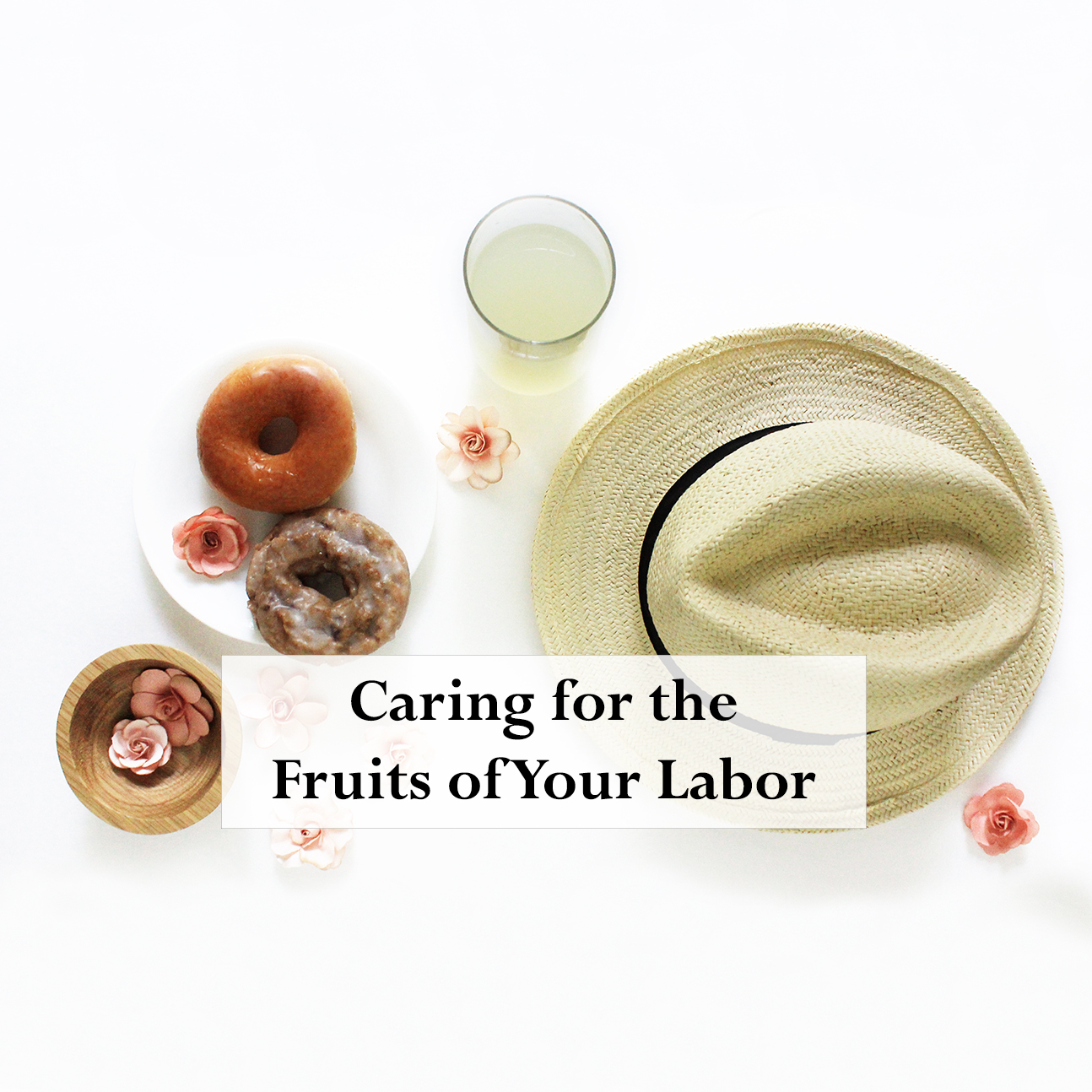 Caring For The Fruits of Your Labor Reading Transform